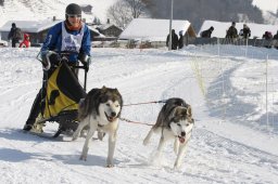 Lenk 2012 SM